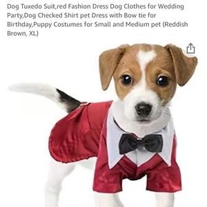 Meet your Posher, Rayna